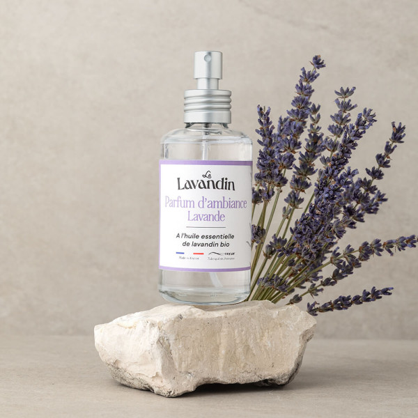 Parfum d’ambiance 100ML