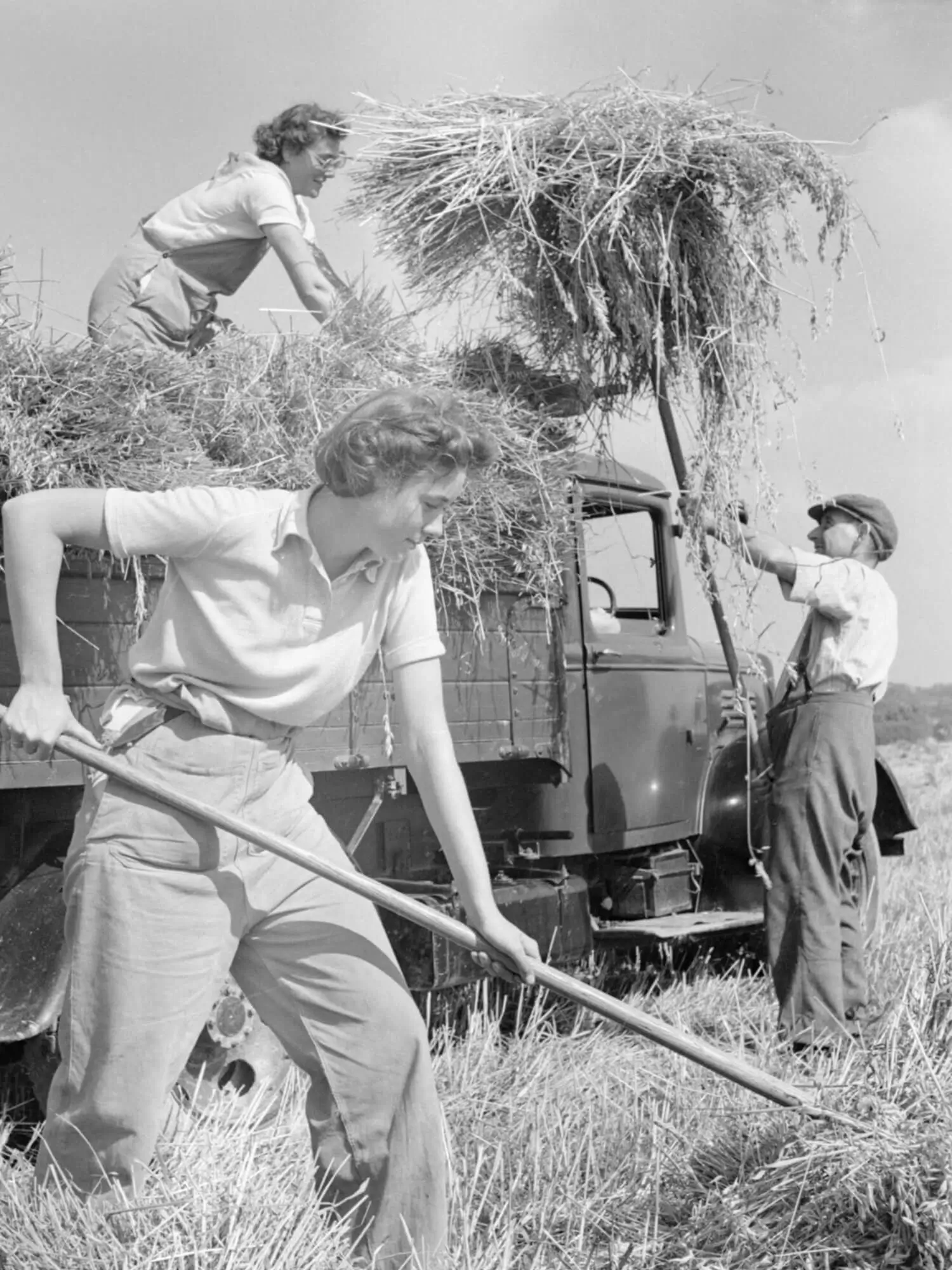 Préservation des traditions agricoles